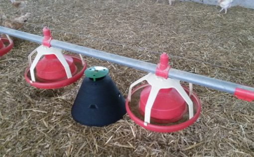 Piège à ténébrions – Image 3