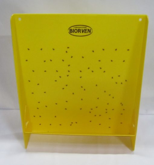 Panneau jaune insecticide