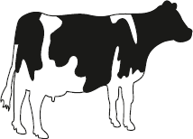 vache-noire