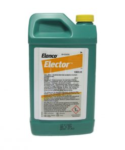 Elector