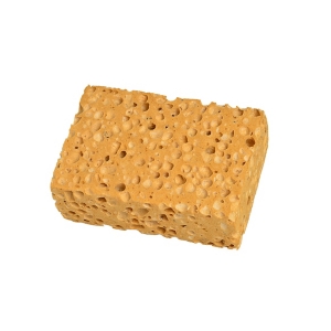 Eponge végétale