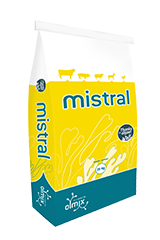 Mistral