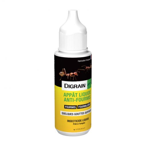 Appât liquide anti fourmis