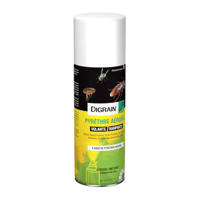 Aérosol pyrèthre naturel